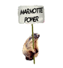 concours delire blagues Marmotte